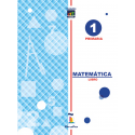 Matemática (Primaria) - Evolución