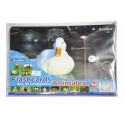 FLASHCARD ANIMALES - EVAFLEX